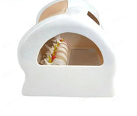 Simulador cirugia intervertebral vertebras endoscopica lumbar