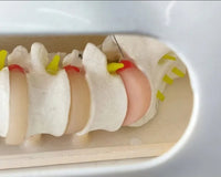 Simulador cirugia intervertebral vertebras endoscopica lumbar