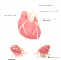 Simulador bypass cardiaco