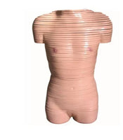 Torso humano seccionado horizontal desmontable masculino o femenino sagital 24 Capas