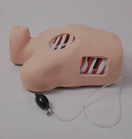 Simulador de drenaje pleural toracocentesis Neumotorax y torax toracica