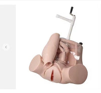 Simulador entrenamiento de parto anormal emergencia