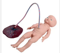 Simulador entrenamiento de parto anormal emergencia