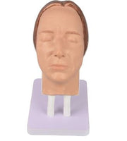 Modelo de puncion facial
