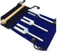 Juego de 3 Diapasones