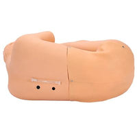 Simulador de puncion lumbar completo