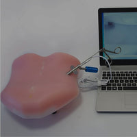 Simulador vertebral lumbar Espejo de Apertura intervertebral cirugía endoscopica