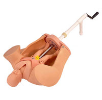 Simulador De Obstetricia De Parto manual
