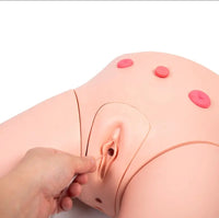 Modelo de cateterismo femenino o masculino