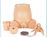 Simulador de parto avanzado Dilatacion Cervical