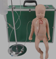 Simulador cateterismo neonatal nacido sistema periferico central