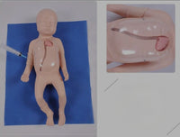 Simulador cateterismo neonatal nacido sistema periferico central