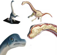 Modelo de Dinosaurio Trex MVZ