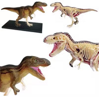 Modelo de Dinosaurio Trex MVZ