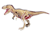 Modelo de Dinosaurio Trex MVZ