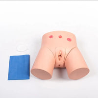 Modelo de cateterismo femenino o masculino