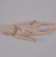 Simulador cateterismo neonatal nacido sistema periferico central