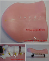 Simulador vertebral lumbar Espejo de Apertura intervertebral cirugía endoscopica