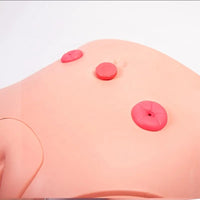 Modelo de cateterismo femenino o masculino