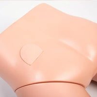 Modelo de cateterismo femenino o masculino