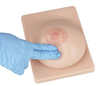 Modelo de simulacion lactancia materna kit