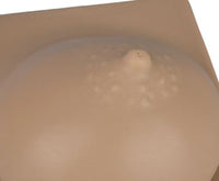 Modelo de simulacion lactancia materna kit