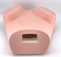 Modelo de examen ginecologico