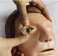 Simulador de RCP Adulto primeros auxilios avanzado/electrico. maniqui simuladores medicos CPR