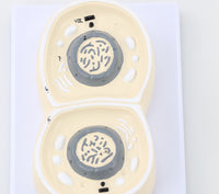 Modelo cromosoma división mitosis celular