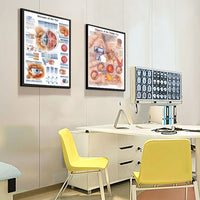 Póster Anatomía y enfermedades humanas