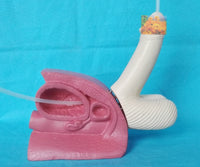 Demostración de cateterismo masculino humano