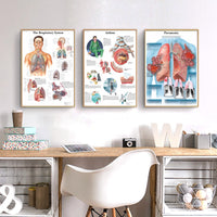 Póster Anatomía y enfermedades humanas