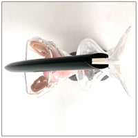 Sistema Reproductor femenino transparente