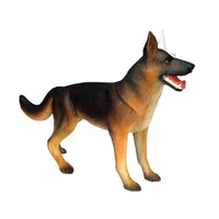 Modelo Anatomico 4D perro.