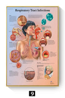 Póster Anatomía y enfermedades humanas