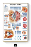 Póster Anatomía y enfermedades humanas