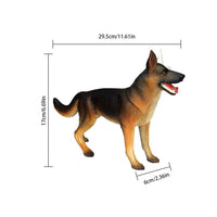 Modelo Anatomico 4D perro.
