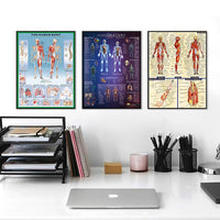 Póster anatomía de Mano, Pie, Rodilla