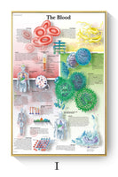 Póster de patologías humanas