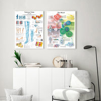 Póster de patologías humanas