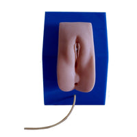 Modelo entrenamiento de cateterismo femenino