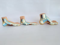 Anatomía médica de pie humano