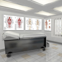 Póster anatomía de Mano, Pie, Rodilla