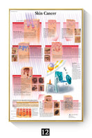 Póster Anatomía y enfermedades humanas