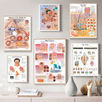 Póster Anatomía y enfermedades humanas