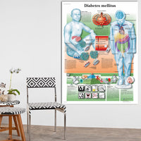 Póster de patologías humanas