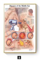 Póster Anatomía y enfermedades humanas