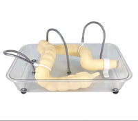 Simulador de colonoscopia Entrenamiento laparoscopia colon