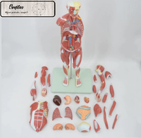 Cuerpo humano completo