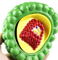 Modelo de anatomía de de VIH